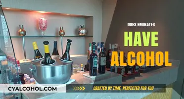 Does Emirates Serve Alcohol? Exploring In-Flight Beverage Options