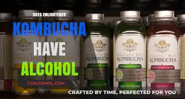 Unveiling the Truth: Does Enlightened Kombucha Contain Alcohol?