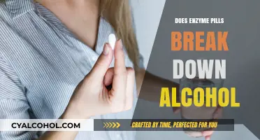 Can Enzyme Pills Effectively Break Down Alcohol in Your System?