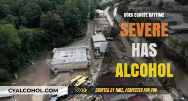 Does Daytime Severe Weather Increase Alcohol Consumption? Exploring the Link