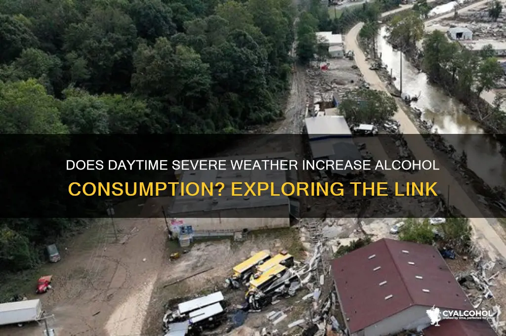 does equqte daytime severe has alcohol