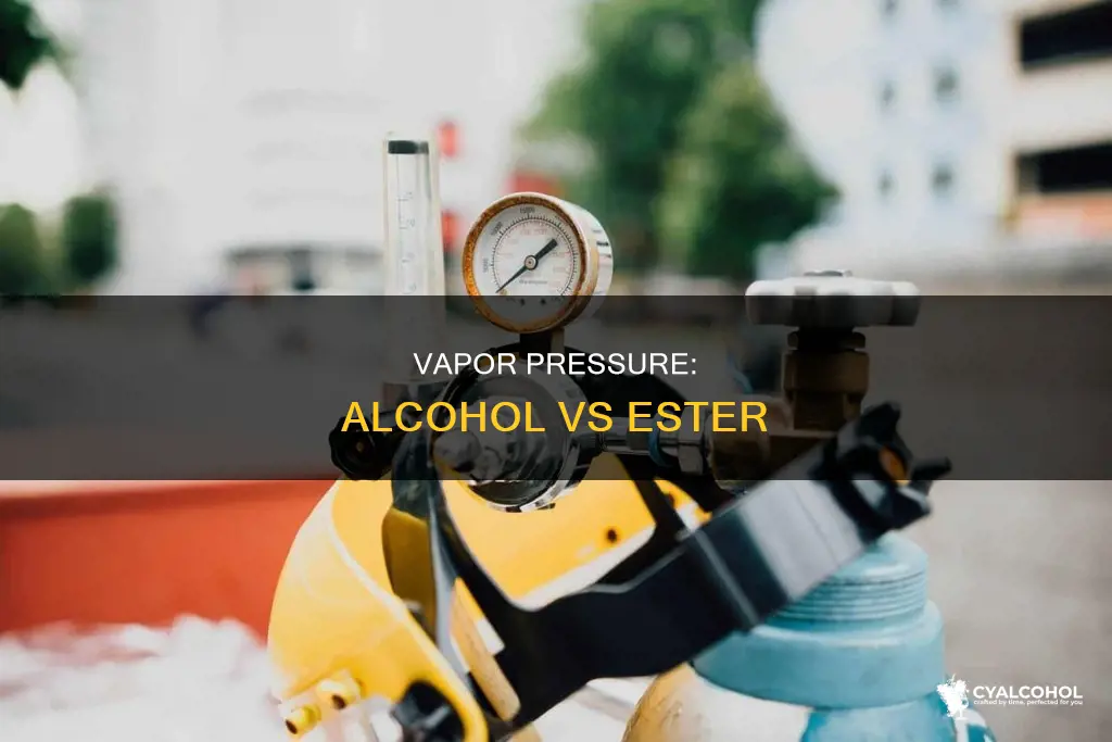 does ester or alcohol have a higher vapor pressure