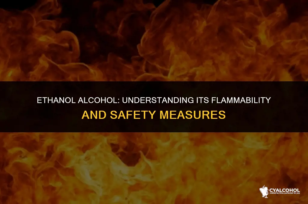 does ethanol alcohol alight easily