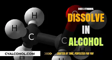 Ethanol and Alcohol: Understanding Their Solubility Relationship