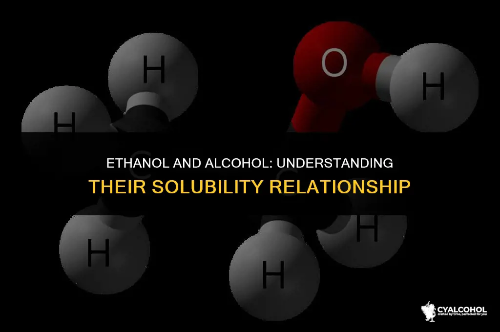 does ethanol dissolve in alcohol