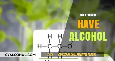 Ethanol and Alcohol: Understanding the Chemical Connection and Differences