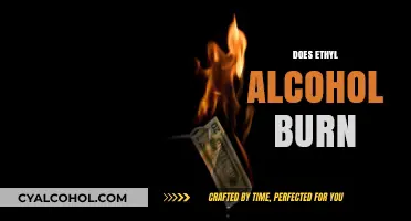 Does Ethyl Alcohol Burn? Understanding Combustion and Safety Risks
