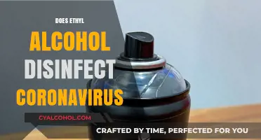 Does Ethyl Alcohol Disinfect Coronavirus: A Comprehensive Guide