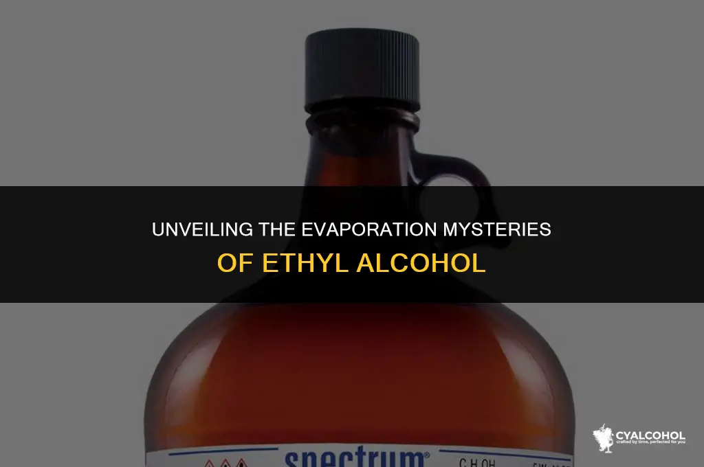does ethyl alcohol evaporate easily