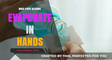 Does Ethyl Alcohol Evaporate When Applied to Hands?