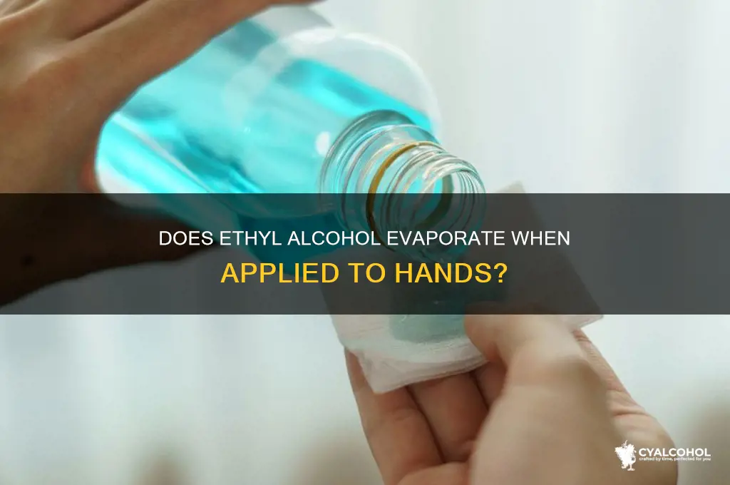 does ethyl alcohol evaporate in hands