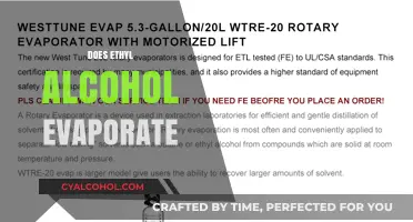 Does Ethyl Alcohol Evaporate? Understanding Its Volatility and Factors