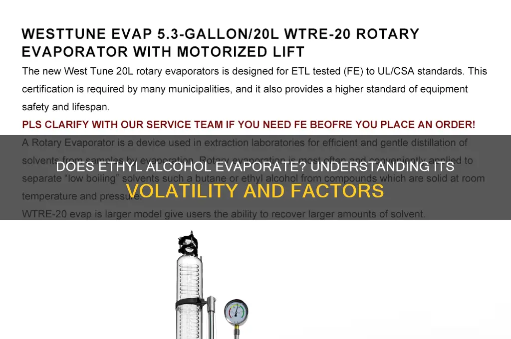 does ethyl alcohol evaporate