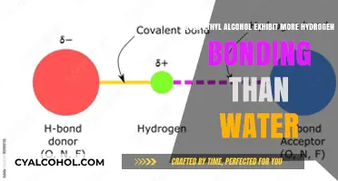 Hydrogen Bonding: Alcohol vs Water