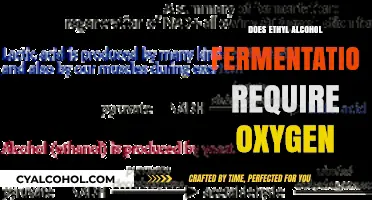 Does Ethyl Alcohol Fermentation Require Oxygen? Unraveling the Process