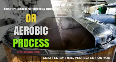 Alcohol Fermentation: Anaerobic or Aerobic?