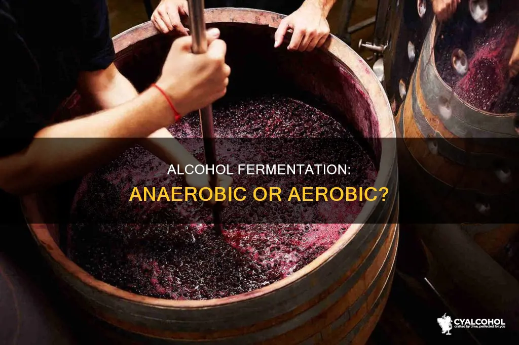 does ethyl alcohol go through an anaerobic or aerobic process