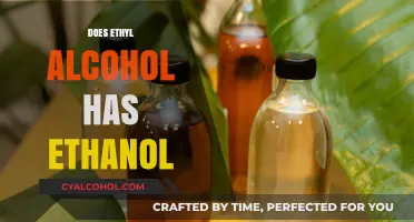 Unveiling the Truth: Ethyl Alcohol and Ethanol Connection