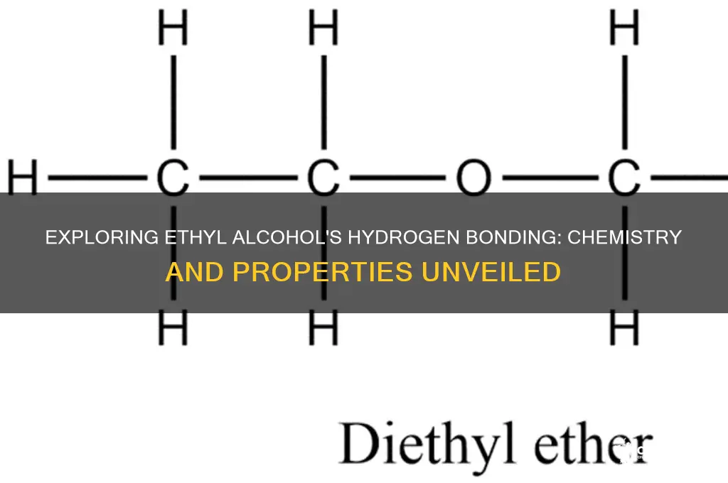 does ethyl alcohol have hydrogen bonding