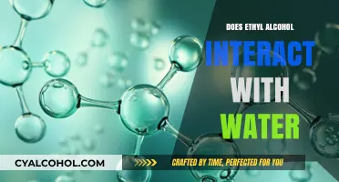 Exploring Ethyl Alcohol and Water Interactions: Chemistry and Solubility Insights