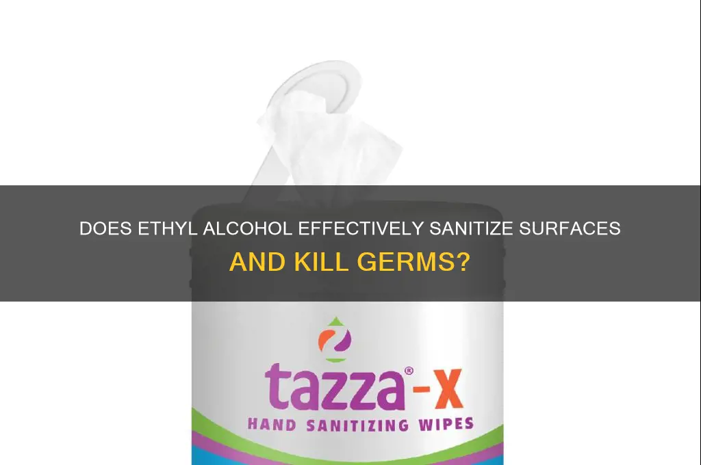 does ethyl alcohol sanitize