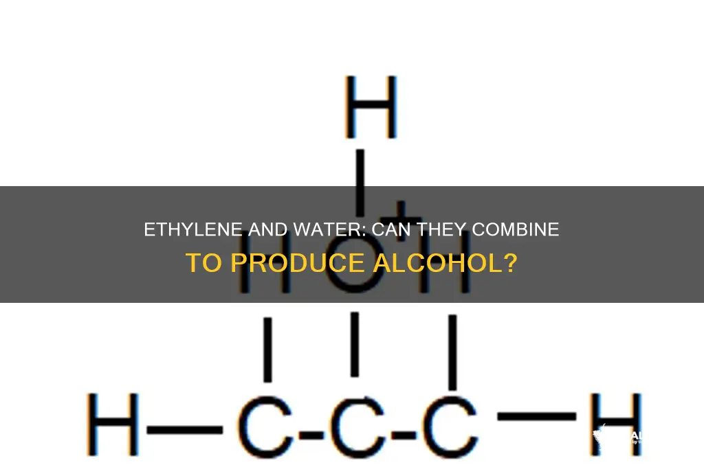does ethylene and water equal alcohol