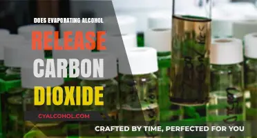 Does Evaporating Alcohol Release Carbon Dioxide? Unraveling the Chemistry