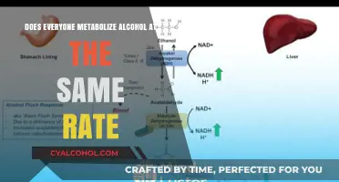 Alcohol Metabolism: Why Rates Vary Among Individuals and Factors Involved
