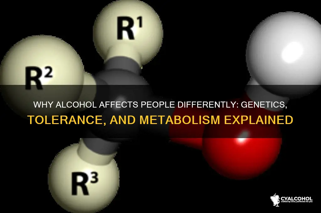 does everyone react differently to alcohol