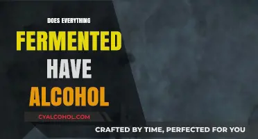 Exploring Fermentation: Does Every Fermented Food Contain Alcohol?
