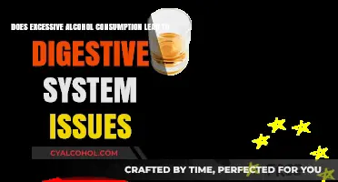 Alcohol Abuse: The Digestive System's Worst Enemy