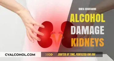 The Hidden Toll: How Excessive Alcohol Affects Your Kidneys