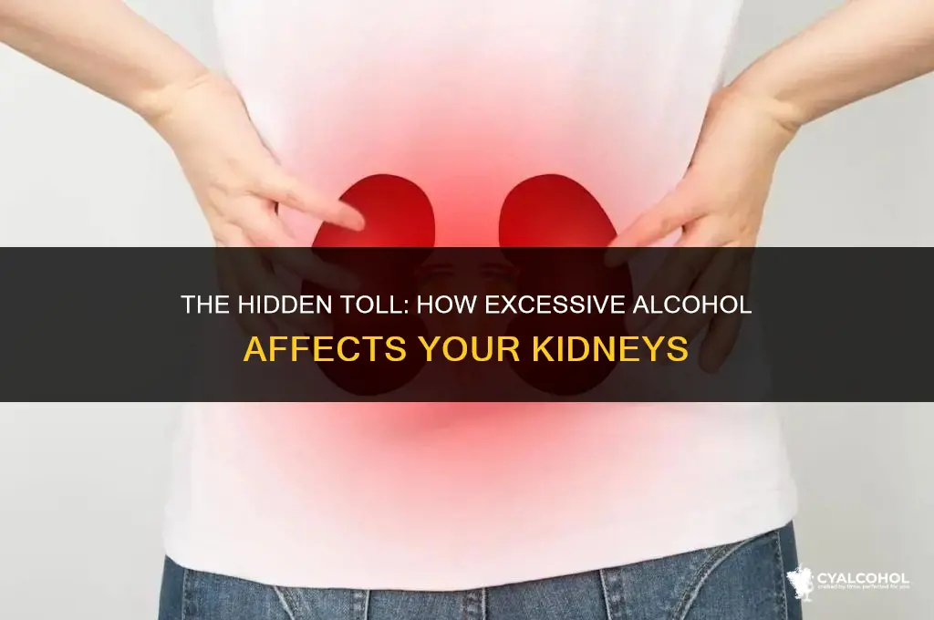 does excessive alcohol damage kidneys