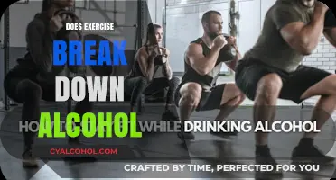 Sweat It Out: The Truth About Exercise and Alcohol Breakdown