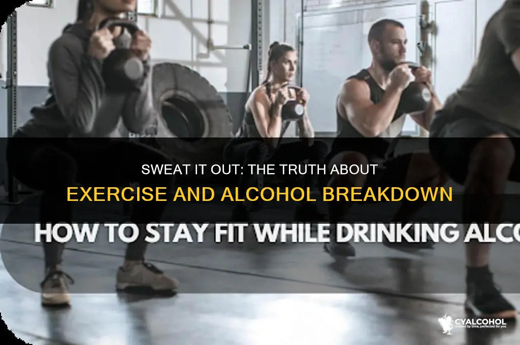 does exercise break down alcohol
