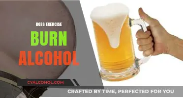 Can Exercise Burn Off Alcohol? Unraveling the Science and Myths