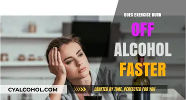 Can Exercise Speed Up Alcohol Metabolism? Facts and Myths Explained