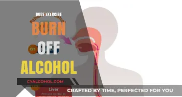 Sweat It Out: Can Exercise Really Burn Off Alcohol?