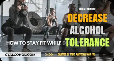 Exploring the Effects of Exercise on Alcohol Tolerance: A Comprehensive Guide