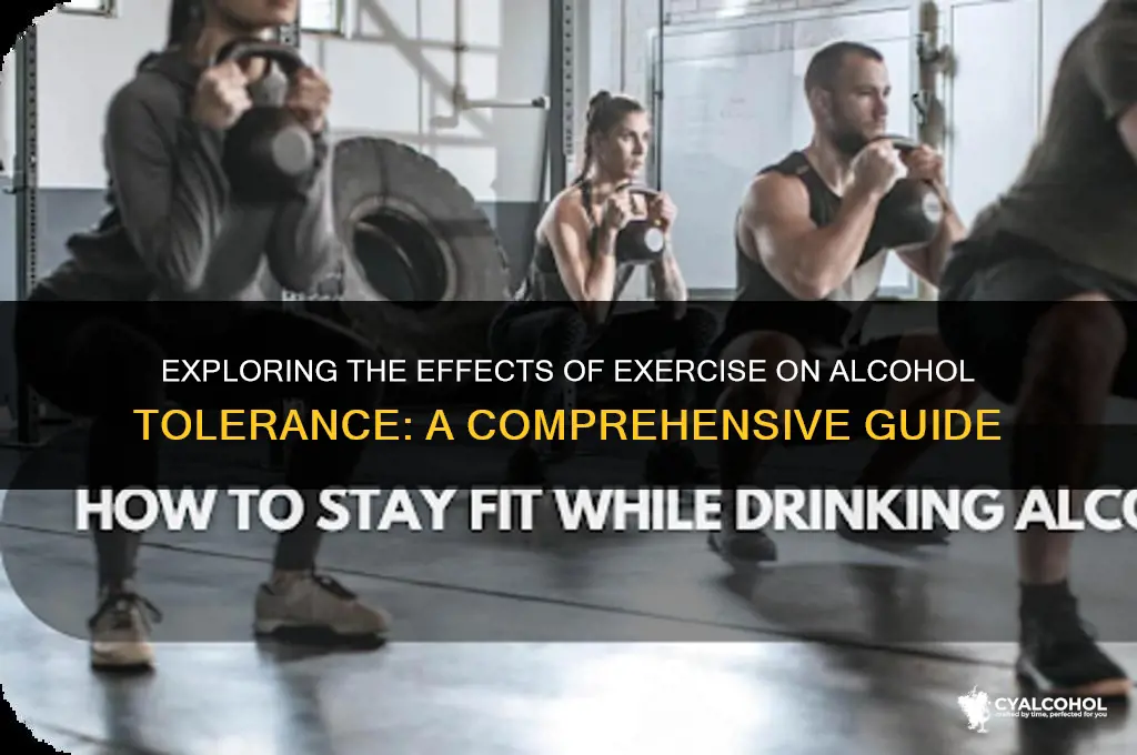 does exercise decrease alcohol tolerance