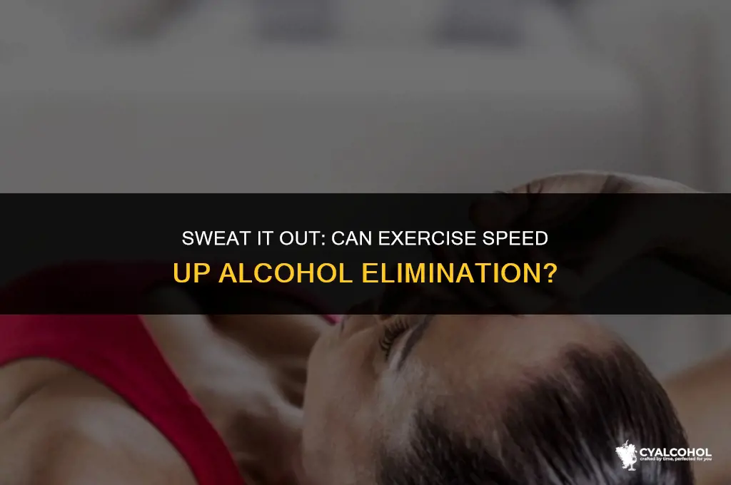 does exercise eliminate alcohol faster