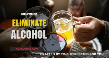 Can Exercise Counteract Alcohol's Effects on Your Body and Health?
