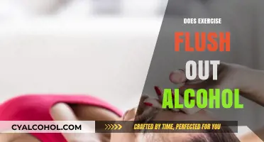 Sweat it Out: The Truth About Exercise and Alcohol Elimination