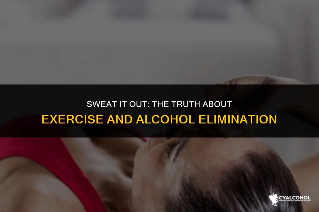 does exercise flush out alcohol
