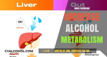 Boosting Alcohol Metabolism: The Role of Exercise in Detoxification