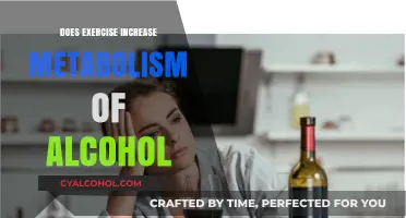 Exercise and Alcohol Metabolism: Does Physical Activity Speed Up Detoxification?