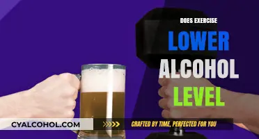 Sweat it Out: Can Exercise Really Lower Your Alcohol Levels?