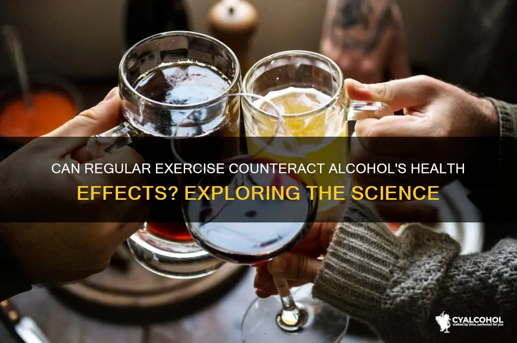 does exercise offset alcohol