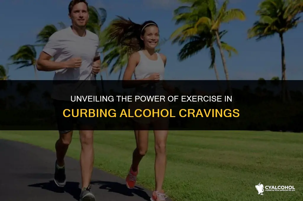does exercise reduce alcohol cravings