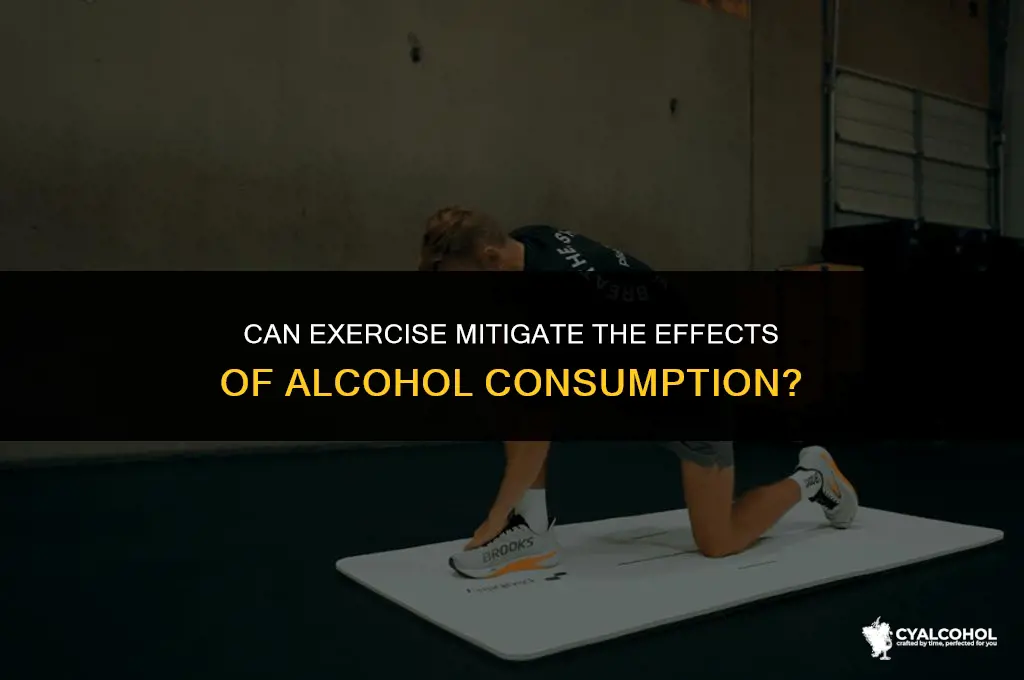 does exercise reduce alcohol damage